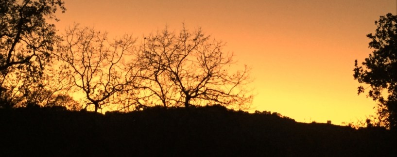 Orinda Sunset