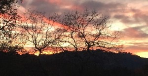 Orinda sunset - photo by LWP