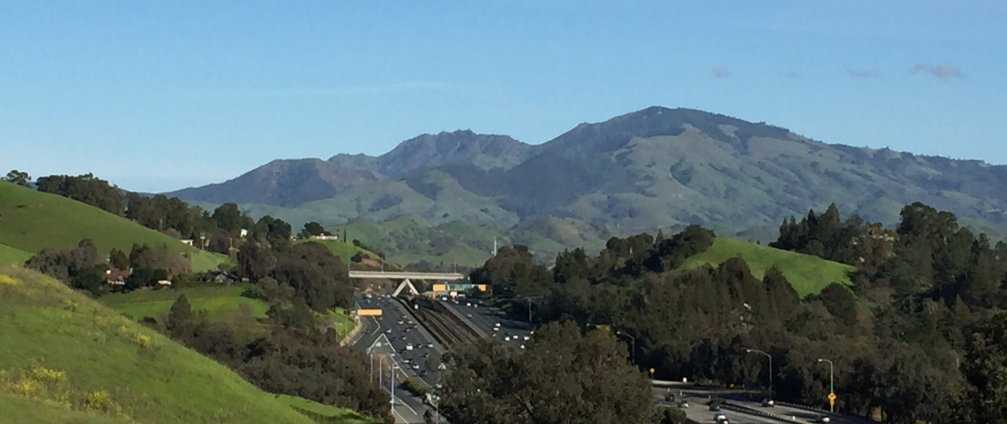 Highway in suburban setting